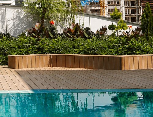 Farzin Roof Garden