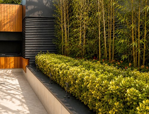 Landscape Interventions